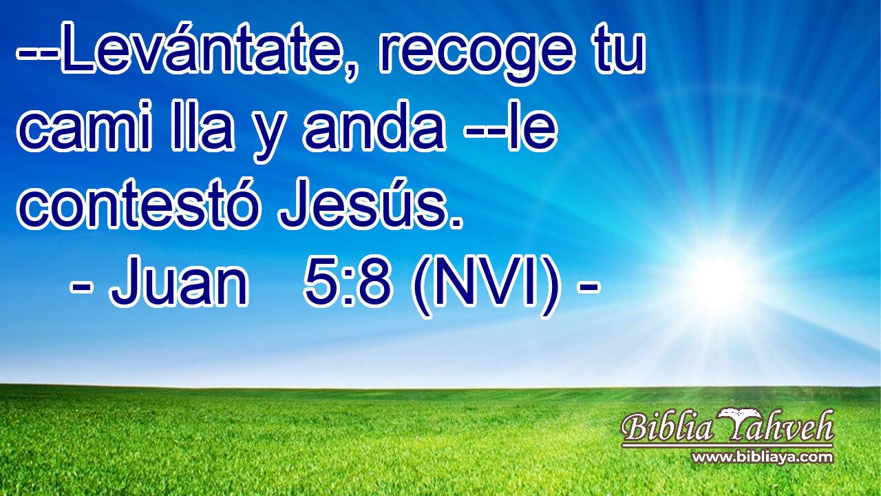  --Levántate, recoge tu cami lla y anda --le contestó Jesús. 