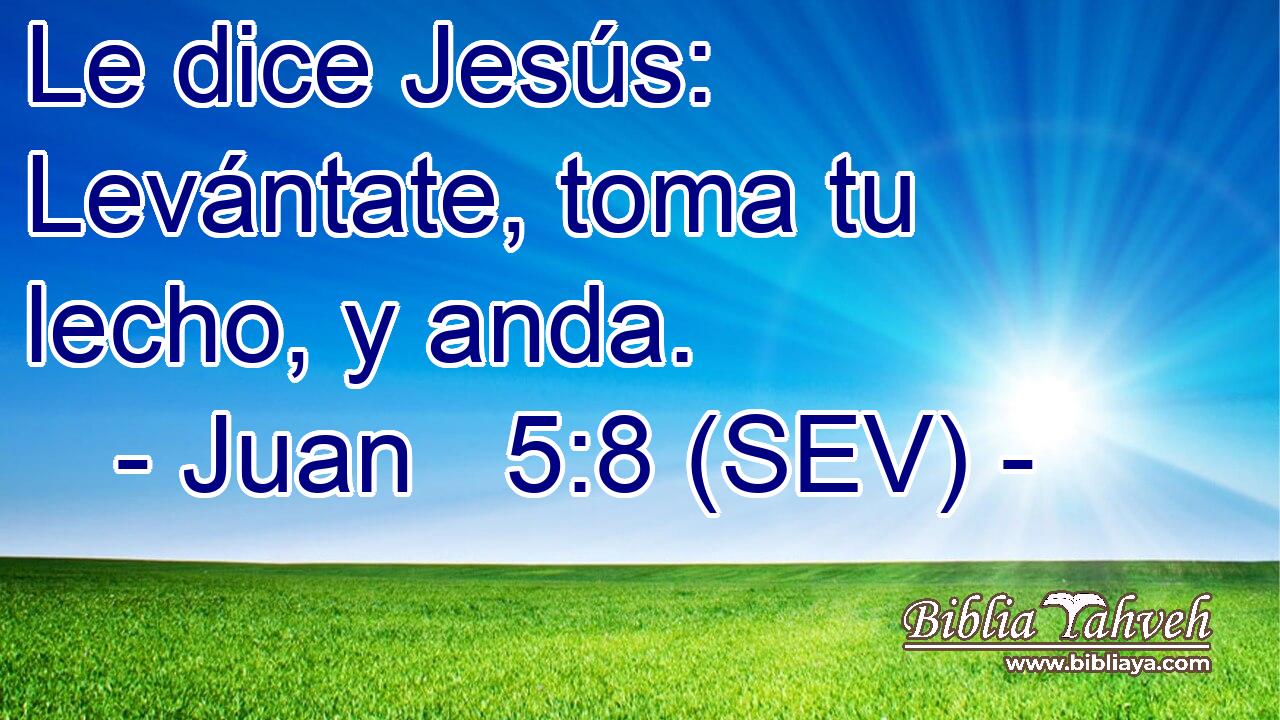 Le dice Jesús: Levántate, toma tu lecho, y anda.