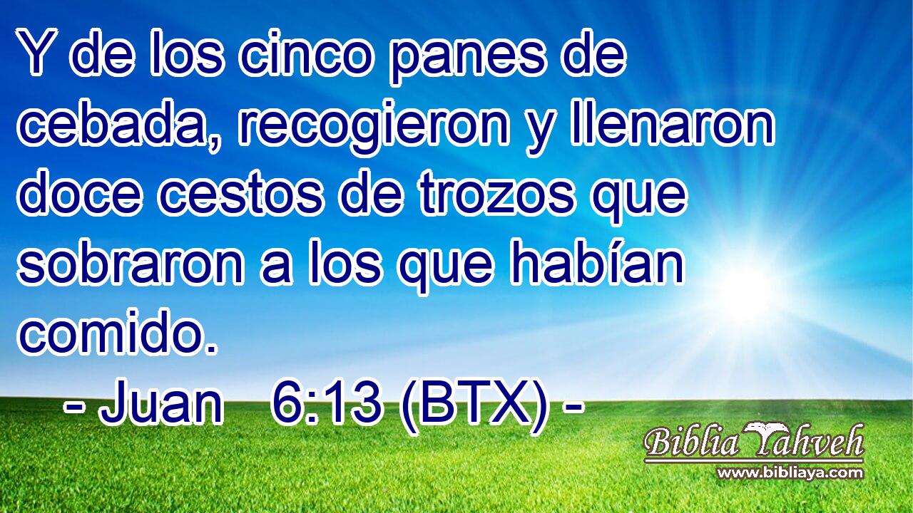 Y de los cinco panes de cebada, recogieron y llenaron doce cestos de trozos que sobraron a los que habían comido.
