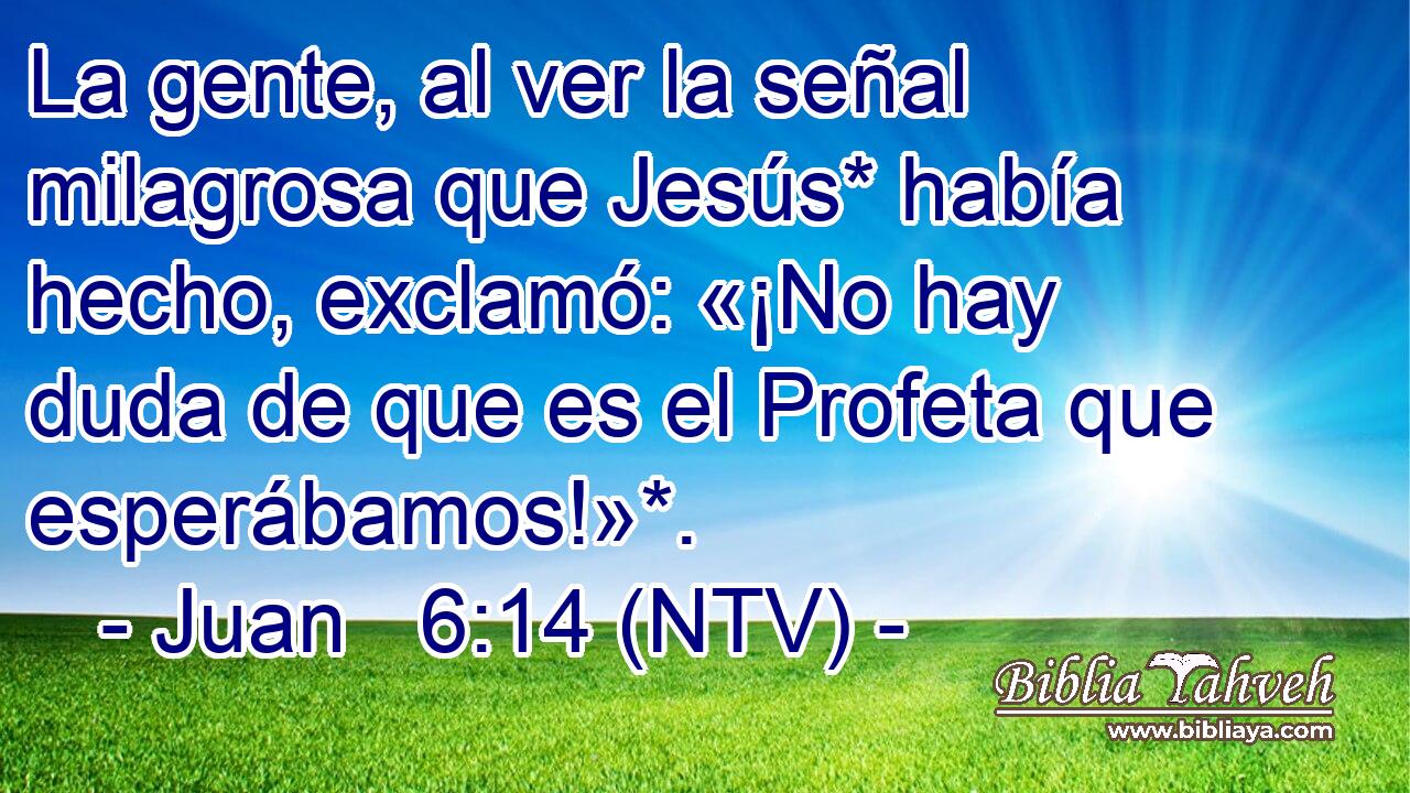 La gente, al ver la señal milagrosa que Jesús* había hecho, exclamó: «¡No hay duda de que es el Profeta que esperábamos!»*.