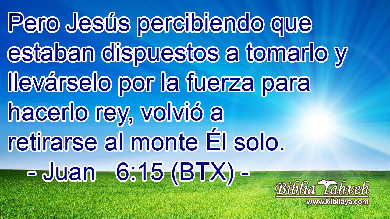 Pero Jesús percibiendo que estaban dispuestos a tomarlo y llevárselo por la fuerza para hacerlo rey, volvió a retirarse al monte Él solo.