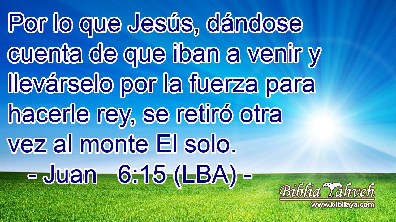 Por lo que Jesús, dándose cuenta de que iban a venir y llevárselo por la fuerza para hacerle rey, se retiró otra vez al monte El solo.