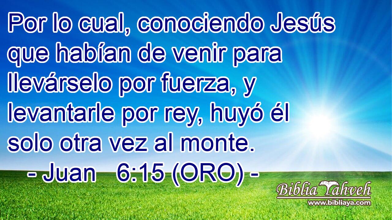  Por lo cual, conociendo Jesús que habían de venir para llevárselo por fuerza, y levantarle por rey, huyó él solo otra vez al monte. 