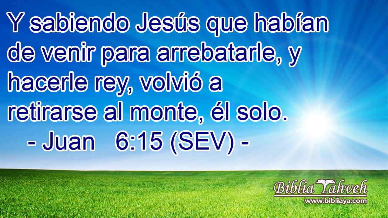 Y sabiendo Jesús que habían de venir para arrebatarle, y hacerle rey, volvió a retirarse al monte, él solo.
