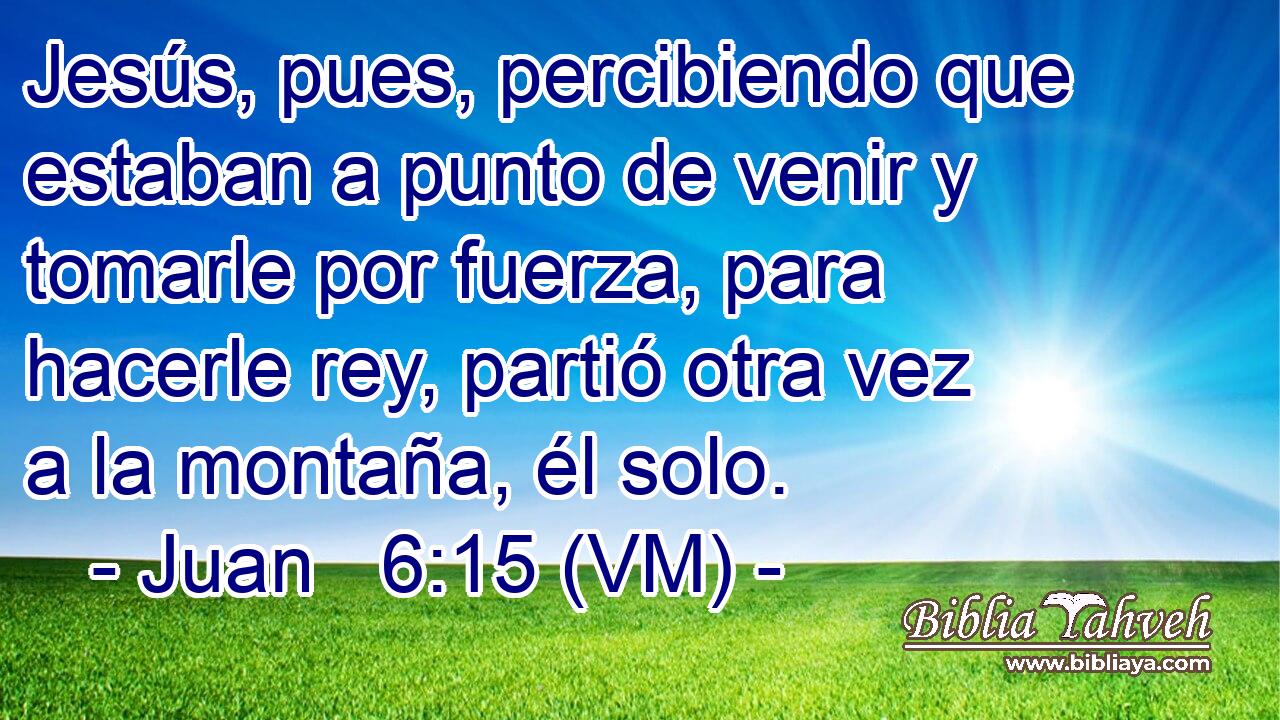  Jesús, pues, percibiendo que estaban a punto de venir y tomarle por fuerza, para hacerle rey, partió otra vez a la montaña, él solo. 