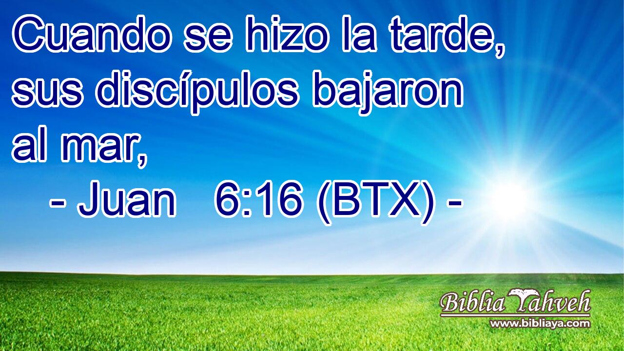 Cuando se hizo la tarde, sus discípulos bajaron al mar,