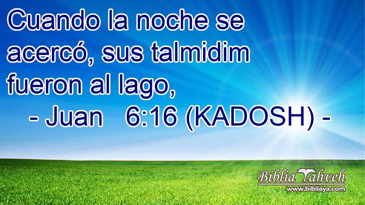  Cuando la noche se acercó, sus talmidim fueron al lago, 