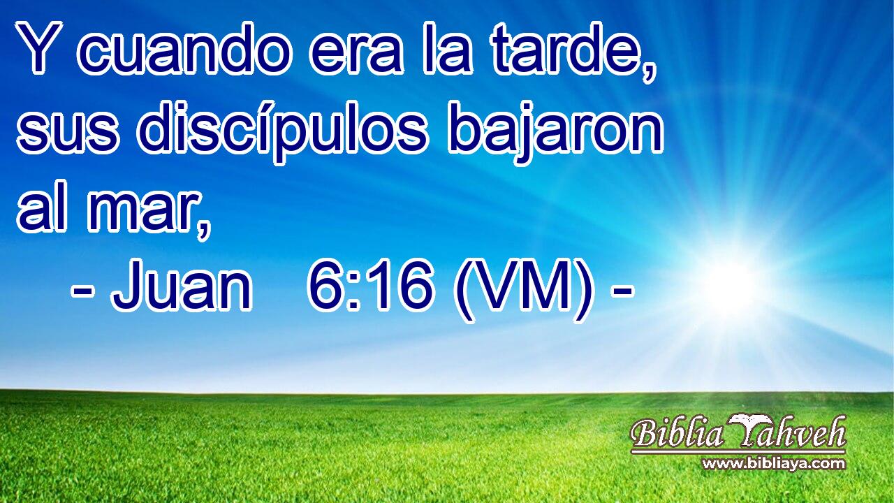  Y cuando era la tarde, sus discípulos bajaron al mar, 