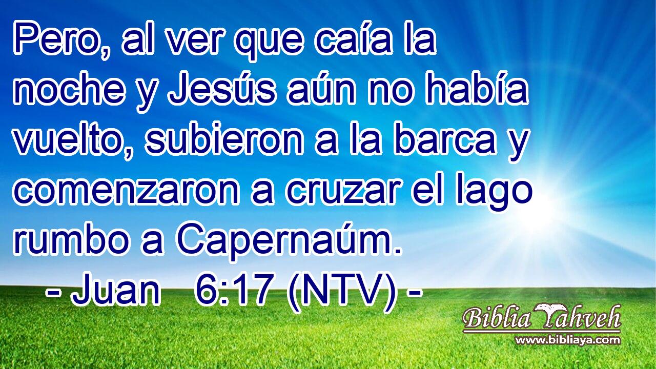 Pero, al ver que caía la noche y Jesús aún no había vuelto, subieron a la barca y comenzaron a cruzar el lago rumbo a Capernaúm.