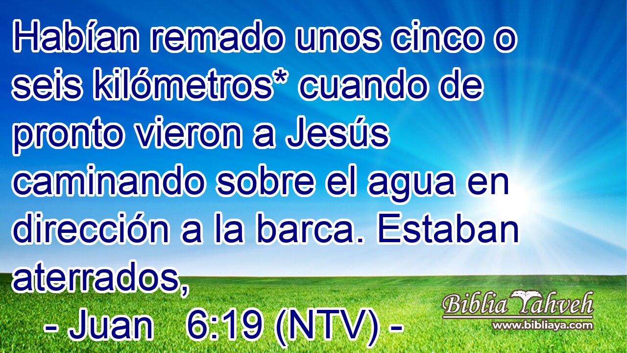 Habían remado unos cinco o seis kilómetros* cuando de pronto vieron a Jesús caminando sobre el agua en dirección a la barca. Estaban aterrados,
