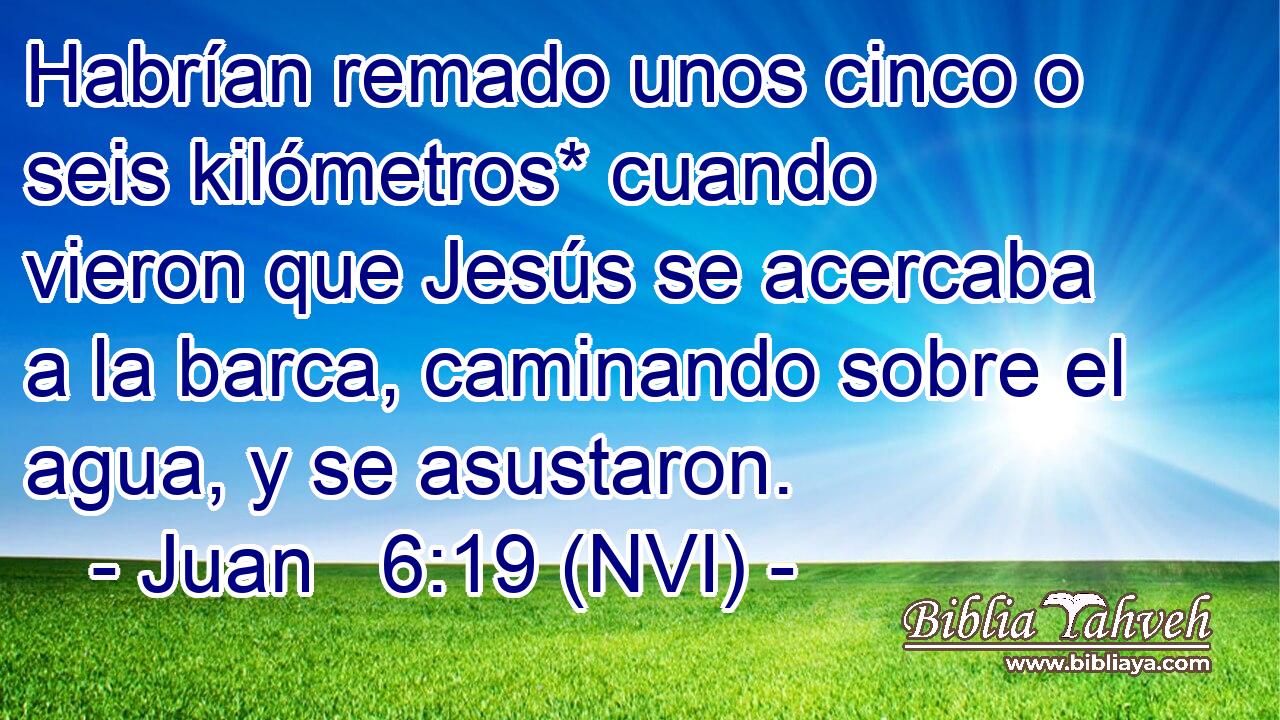  Habrían remado unos cinco o seis kilómetros* cuando vieron que Jesús se acercaba a la barca, caminando sobre el agua, y se asustaron. 