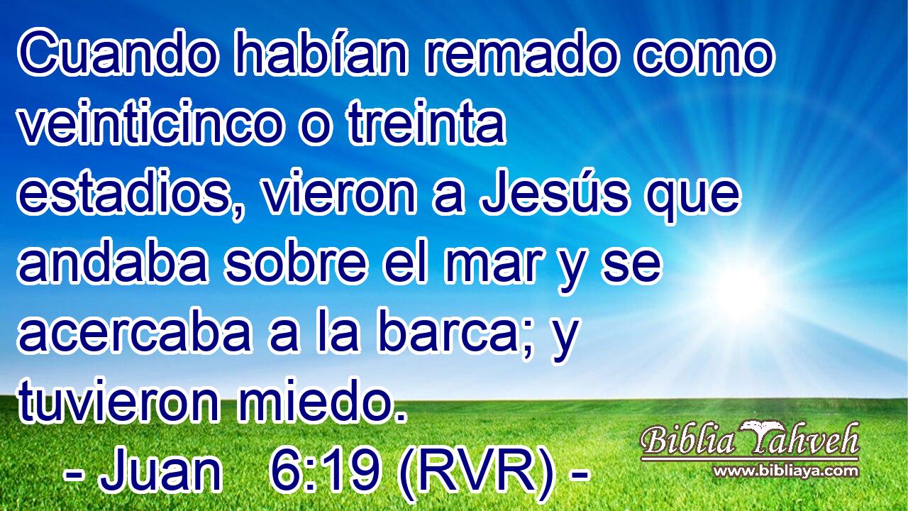 Cuando habían remado como veinticinco o treinta estadios, vieron a Jesús que andaba sobre el mar y se acercaba a la barca; y tuvieron miedo.