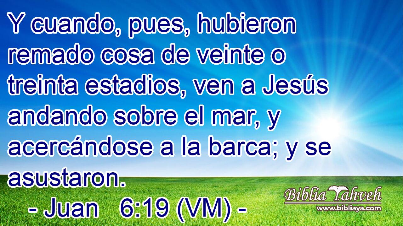  Y cuando, pues, hubieron remado cosa de veinte o treinta estadios, ven a Jesús andando sobre el mar, y acercándose a la barca; y se asustaron. 