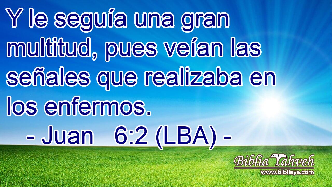 Y le seguía una gran multitud, pues veían las señales que realizaba en los enfermos.