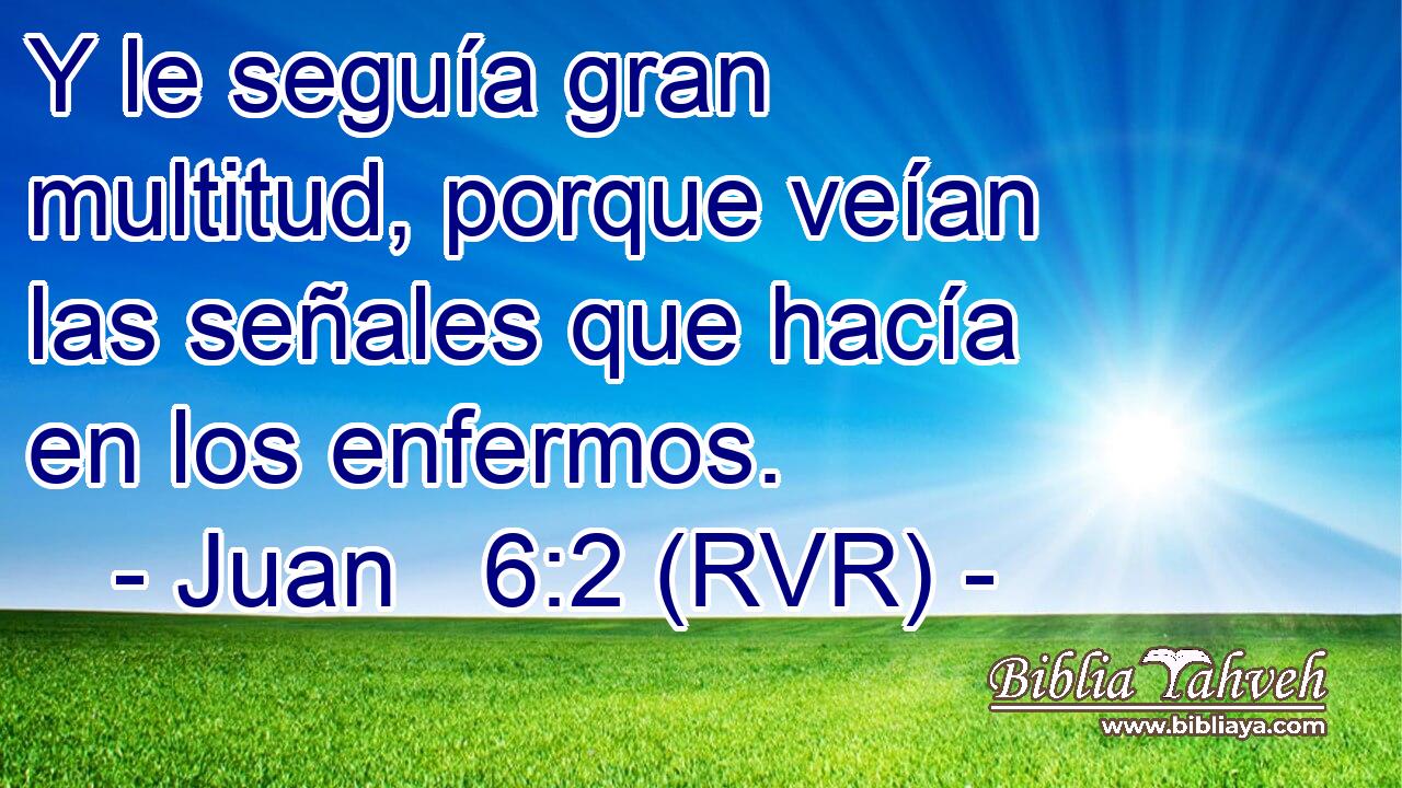 Y le seguía gran multitud, porque veían las señales que hacía en los enfermos.