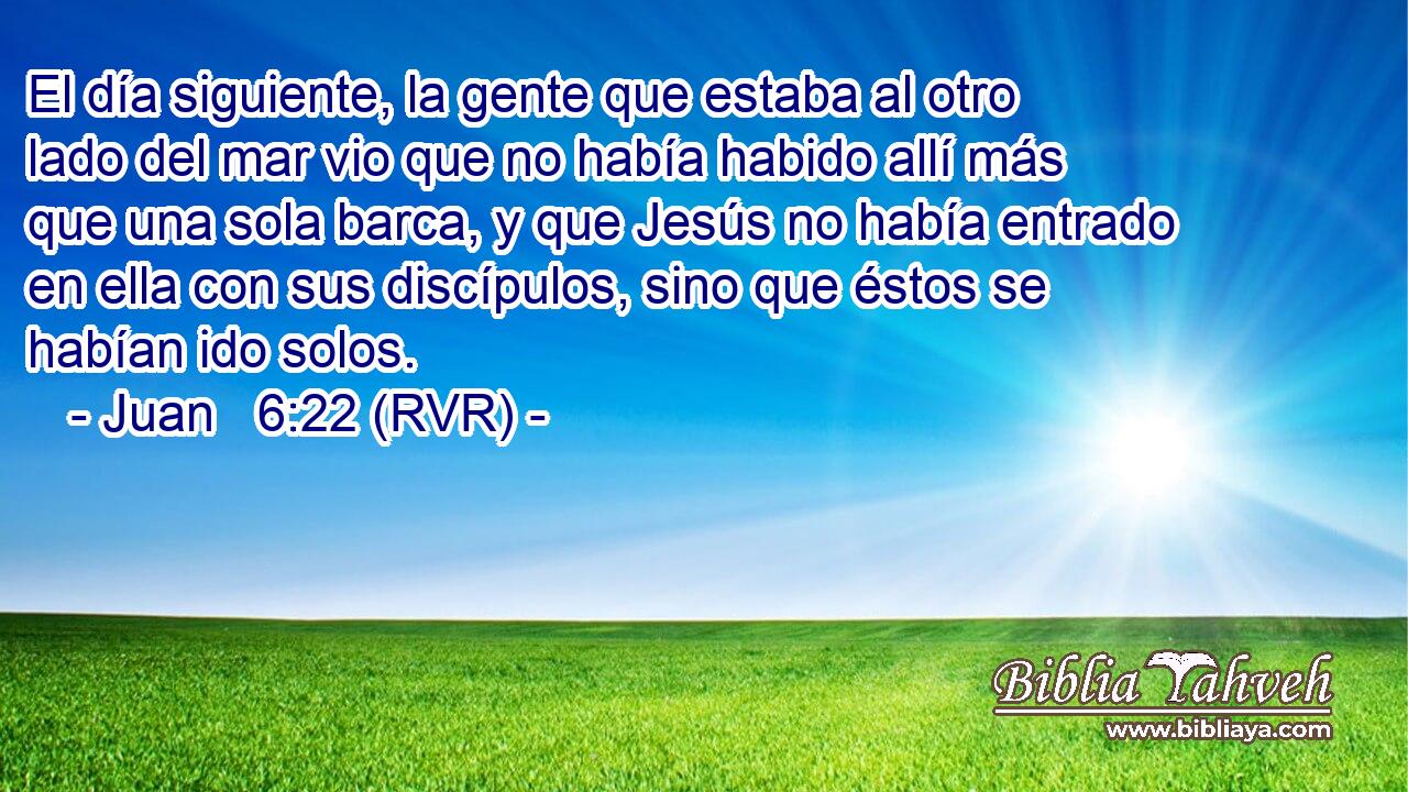 El día siguiente, la gente que estaba al otro lado del mar vio que no había habido allí más que una sola barca, y que Jesús no había entrado en ella con sus discípulos, sino que éstos se habían ido solos.