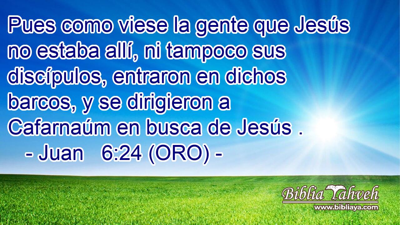  Pues como viese la gente que Jesús no estaba allí, ni tampoco sus discípulos, entraron en dichos barcos, y se dirigieron a Cafarnaúm en busca de Jesús . 