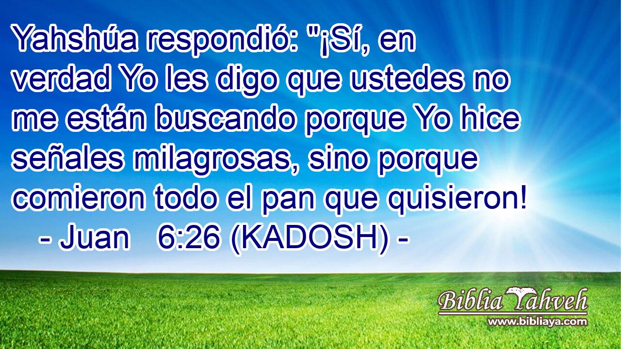  Yahshúa respondió: 