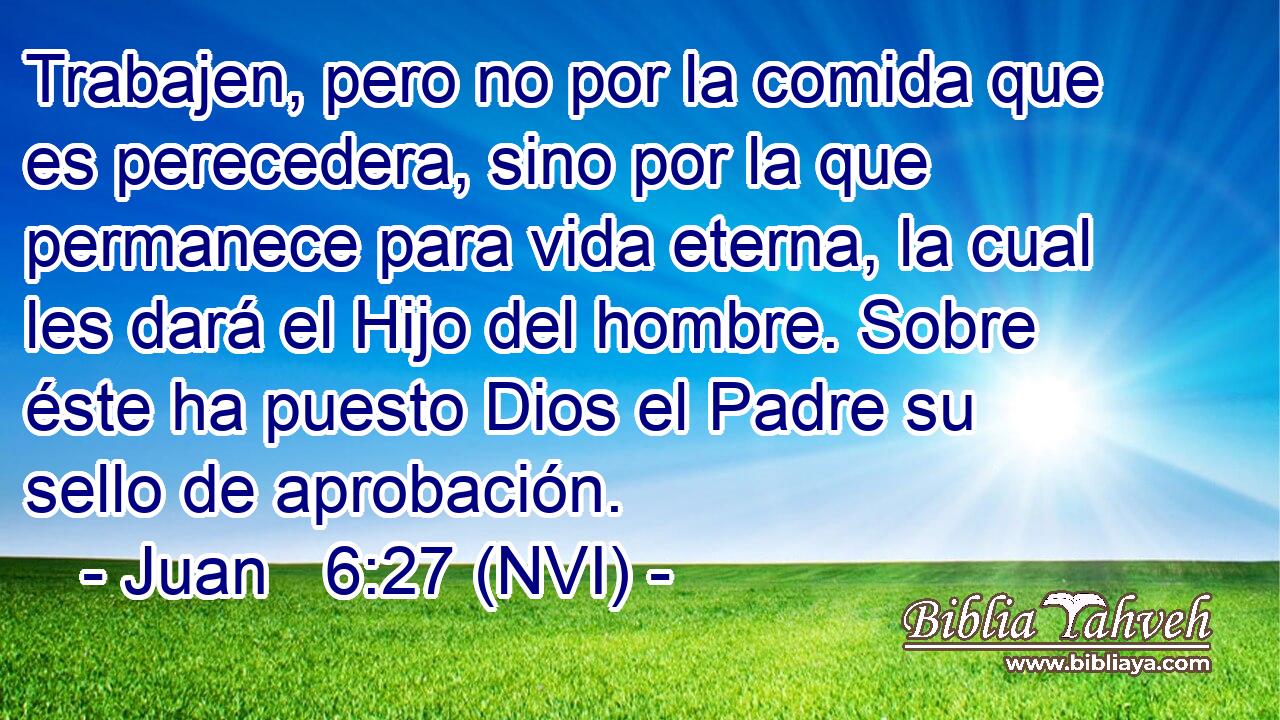  Trabajen, pero no por la comida que es perecedera, sino por la que permanece para vida eterna, la cual les dará el Hijo del hombre. Sobre éste ha puesto Dios el Padre su sello de aprobación. 
