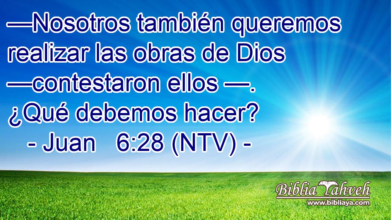 —Nosotros también queremos realizar las obras de Dios —contestaron ellos —. ¿Qué debemos hacer?