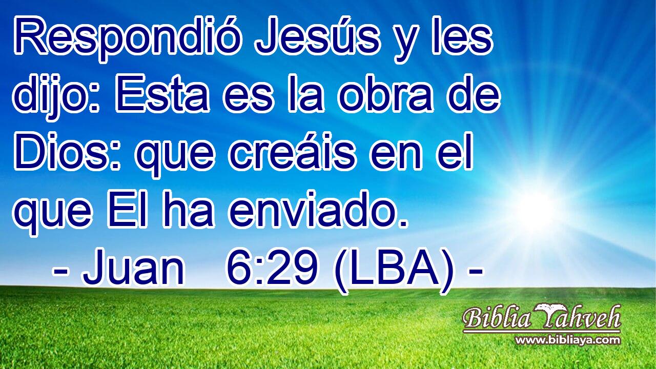 Respondió Jesús y les dijo: Esta es la obra de Dios: que creáis en el que El ha enviado.