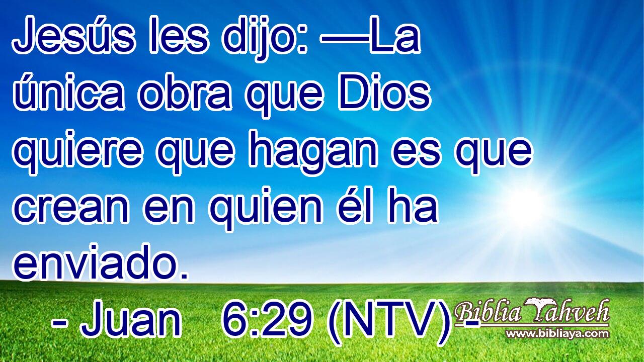 Jesús les dijo: —La única obra que Dios quiere que hagan es que crean en quien él ha enviado.