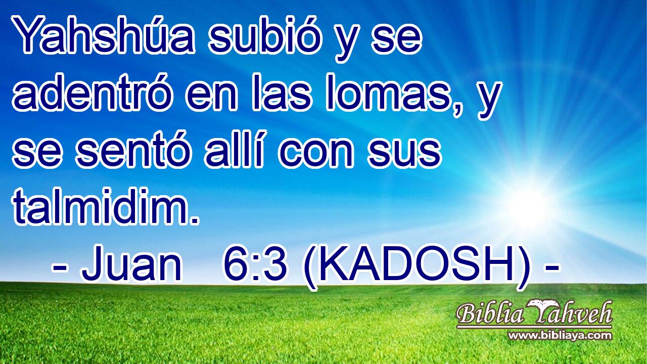  Yahshúa subió y se adentró en las lomas, y se sentó allí con sus talmidim. 