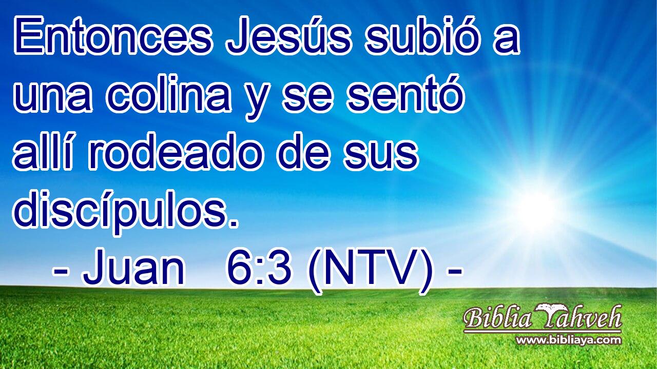 Entonces Jesús subió a una colina y se sentó allí rodeado de sus discípulos.