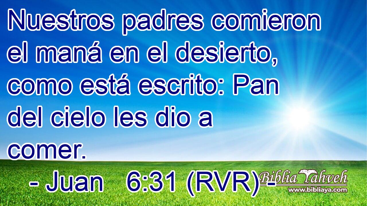 Juan 6:31 (rvr) - Nuestros Padres Comieron El Maná En El Desier...