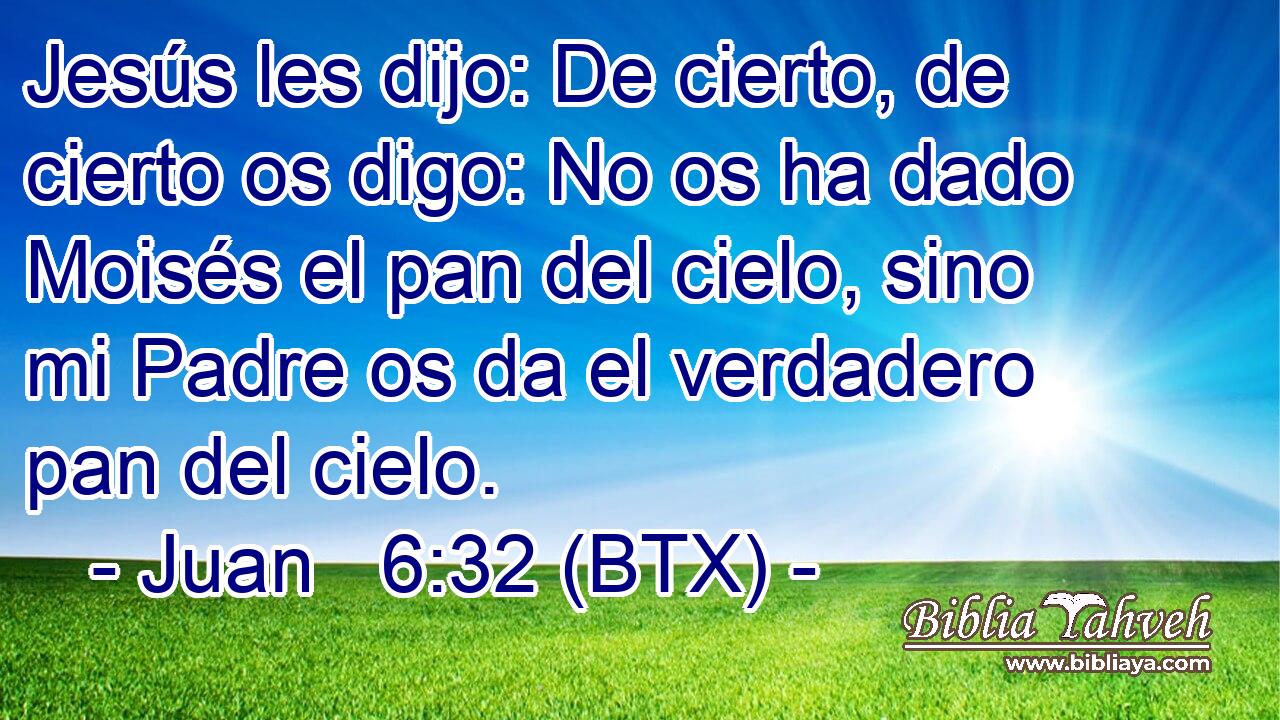 Jesús les dijo: De cierto, de cierto os digo: No os ha dado Moisés el pan del cielo, sino mi Padre os da el verdadero pan del cielo.