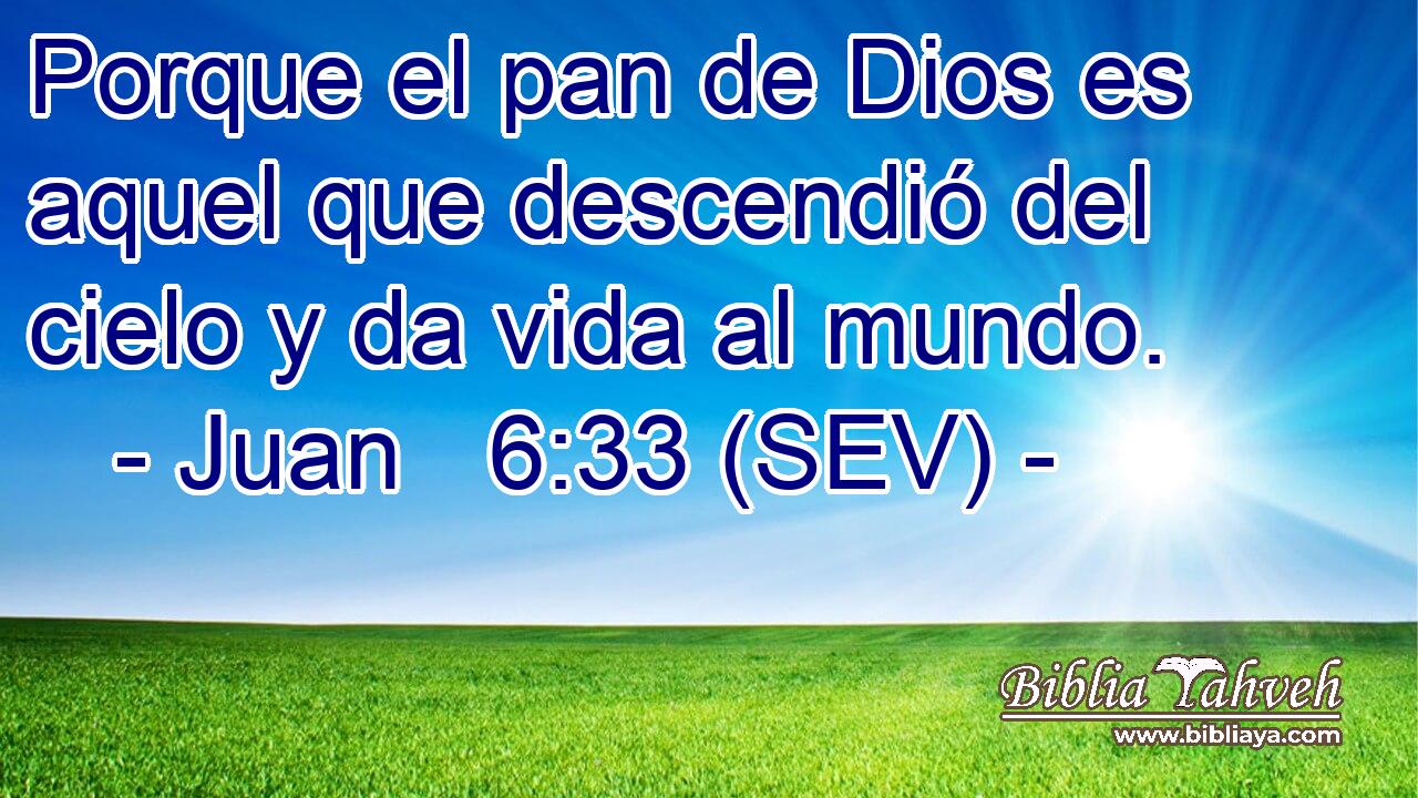 Porque el pan de Dios es aquel que descendió del cielo y da vida al mundo.