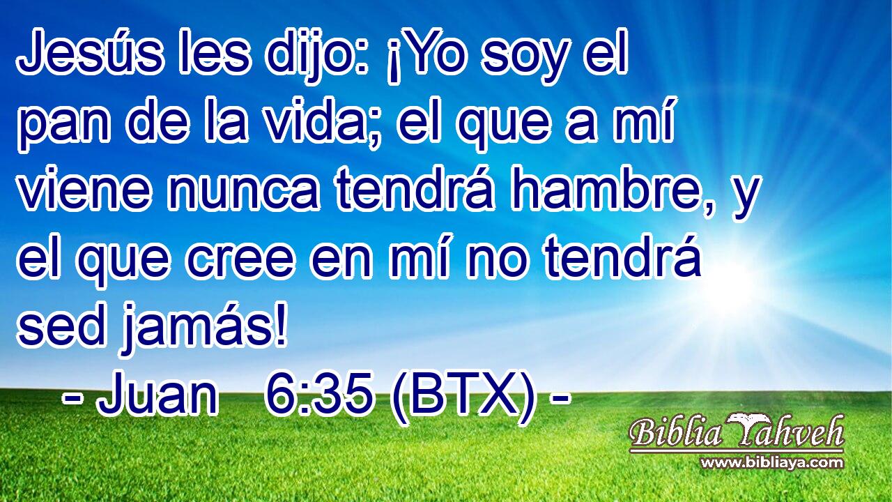 Jesús les dijo: ¡Yo soy el pan de la vida; el que a mí viene nunca tendrá hambre, y el que cree en mí no tendrá sed jamás!
