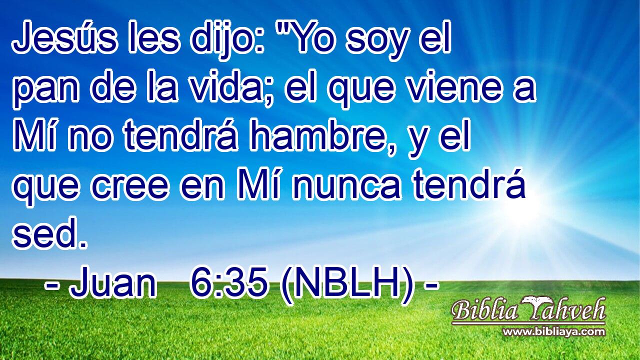  Jesús les dijo: 