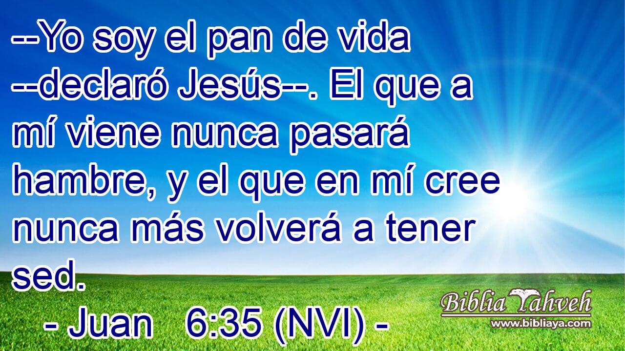  --Yo soy el pan de vida --declaró Jesús--. El que a mí viene nunca pasará hambre, y el que en mí cree nunca más volverá a tener sed. 