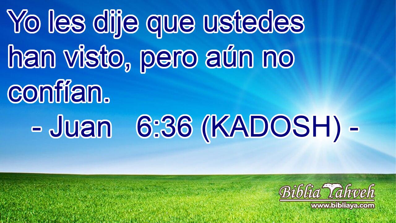  Yo les dije que ustedes han visto, pero aún no confían. 