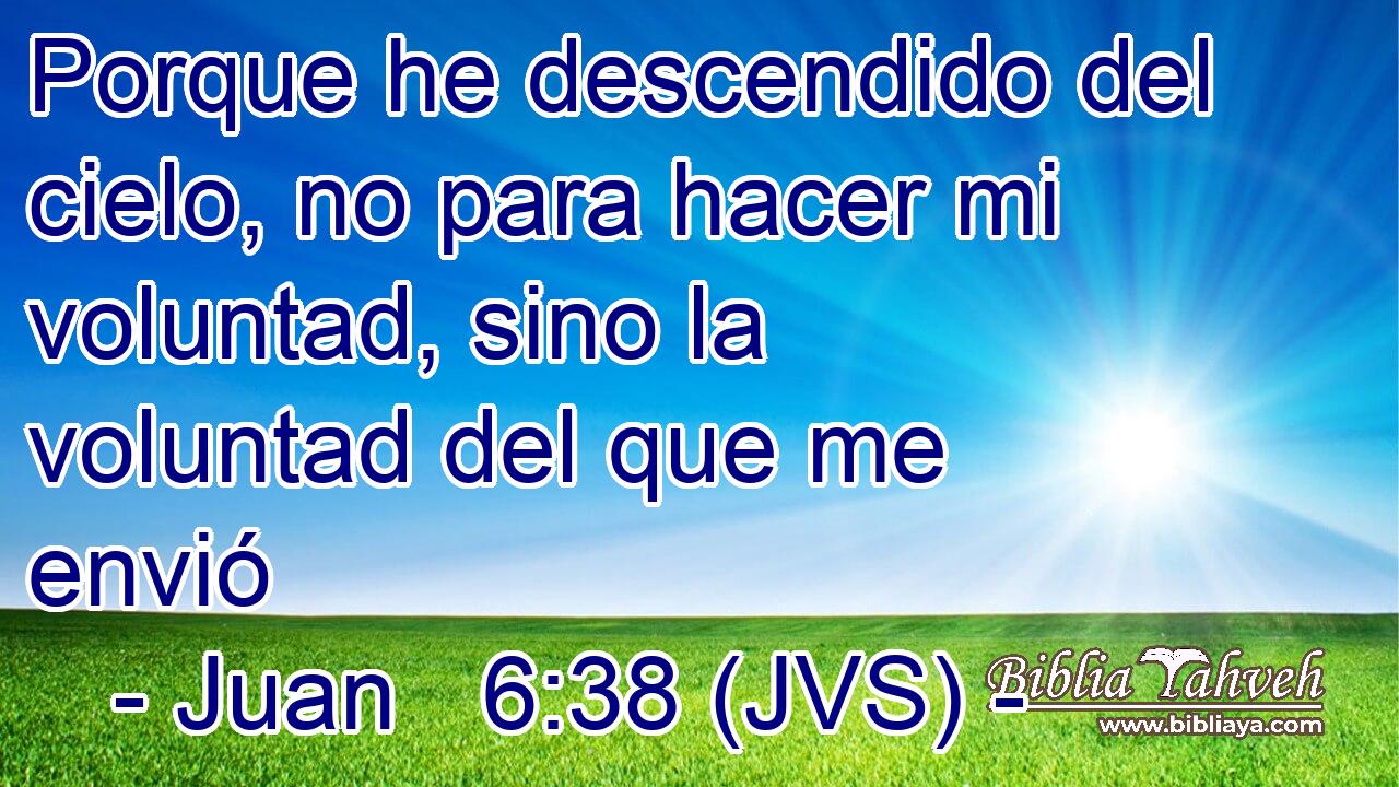 Porque he descendido del cielo, no para hacer mi voluntad, sino la voluntad del que me envió