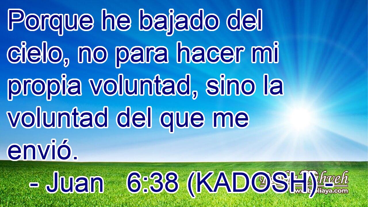  Porque he bajado del cielo, no para hacer mi propia voluntad, sino la voluntad del que me envió. 