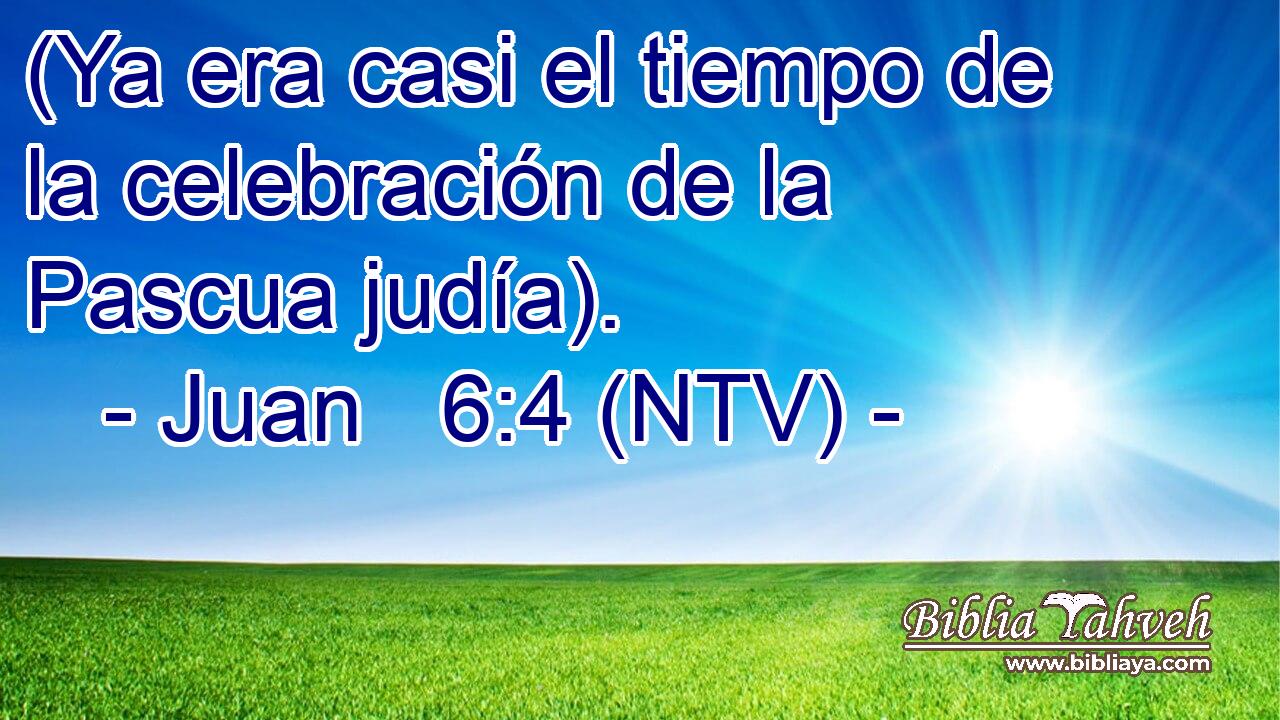 (Ya era casi el tiempo de la celebración de la Pascua judía).