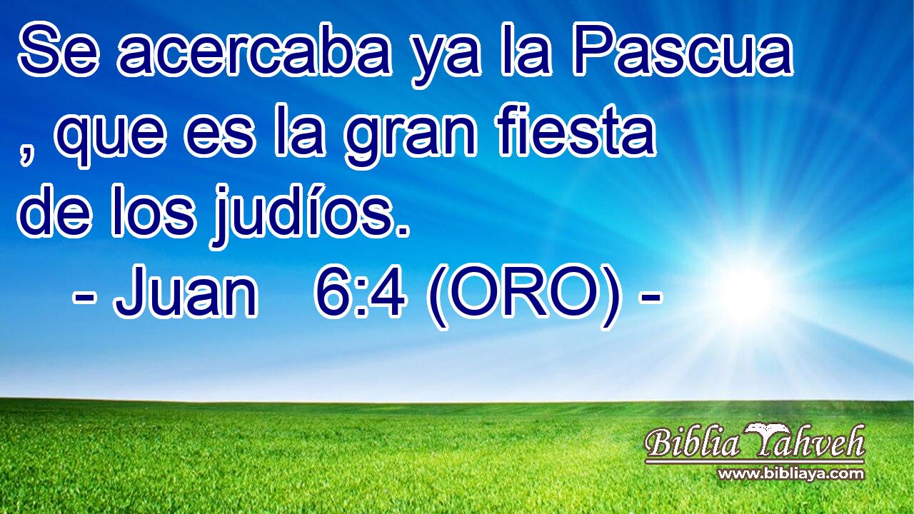  Se acercaba ya la Pascua , que es la gran fiesta de los judíos. 