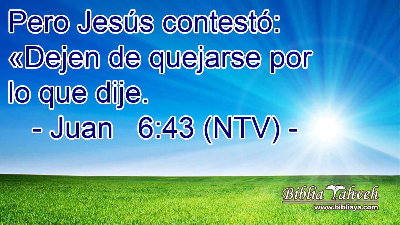 Pero Jesús contestó: «Dejen de quejarse por lo que dije.