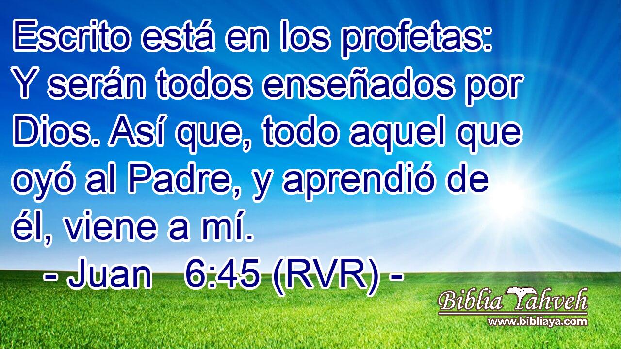 Escrito está en los profetas: Y serán todos enseñados por Dios. Así que, todo aquel que oyó al Padre, y aprendió de él, viene a mí.