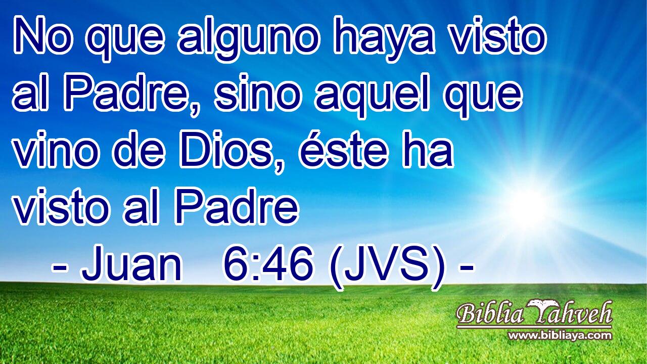 No que alguno haya visto al Padre, sino aquel que vino de Dios, éste ha visto al Padre