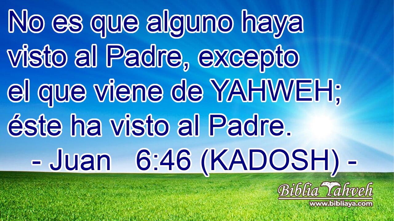  No es que alguno haya visto al Padre, excepto el que viene de YAHWEH; éste ha visto al Padre. 