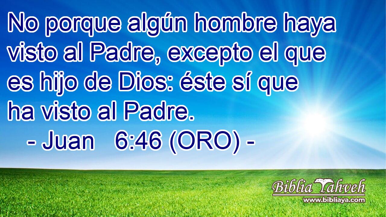  No porque algún hombre haya visto al Padre, excepto el que es hijo de Dios: éste sí que ha visto al Padre. 