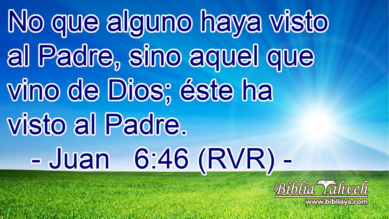 No que alguno haya visto al Padre, sino aquel que vino de Dios; éste ha visto al Padre.