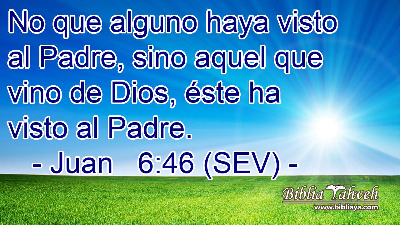 No que alguno haya visto al Padre, sino aquel que vino de Dios, éste ha visto al Padre.