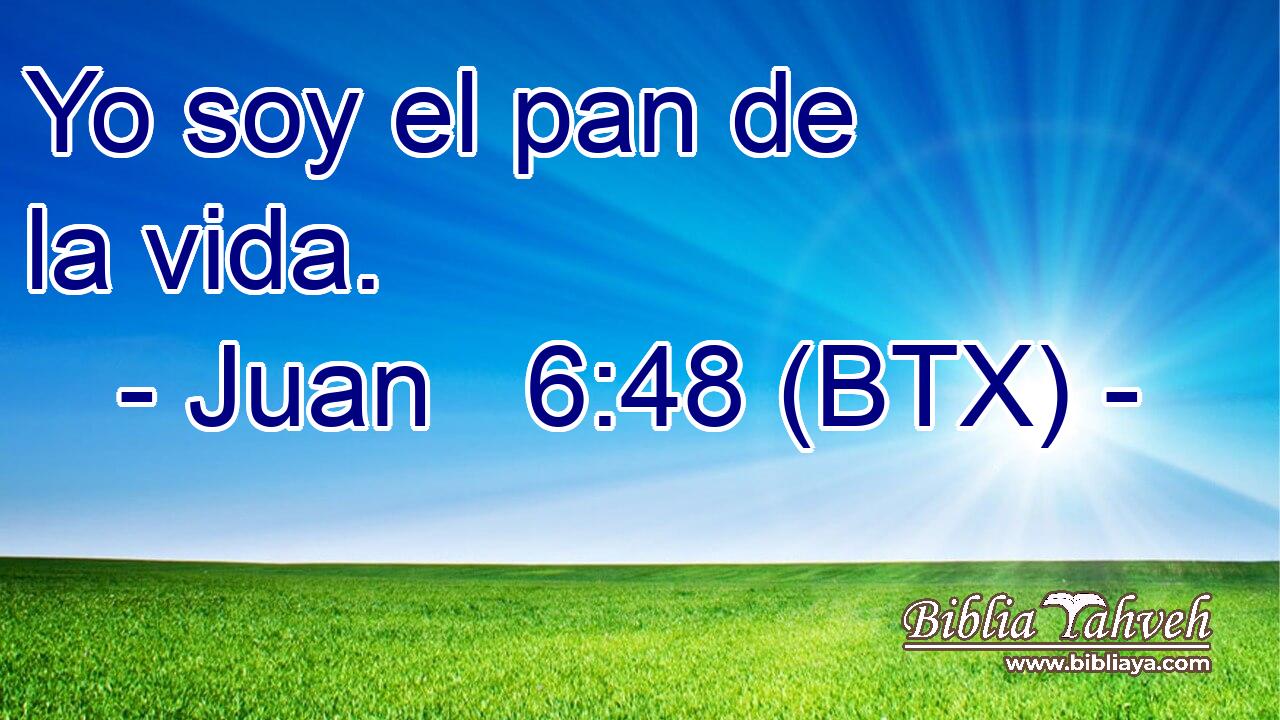 Yo soy el pan de la vida.