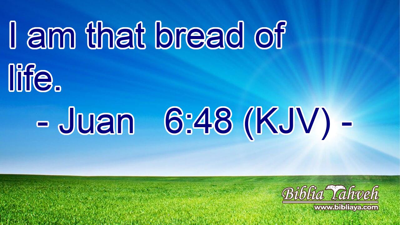 I am that bread of life.