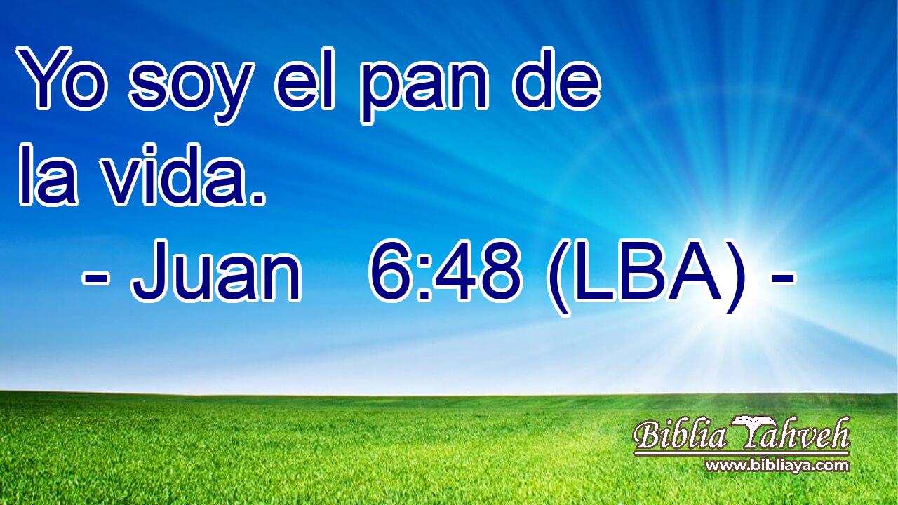 Yo soy el pan de la vida.