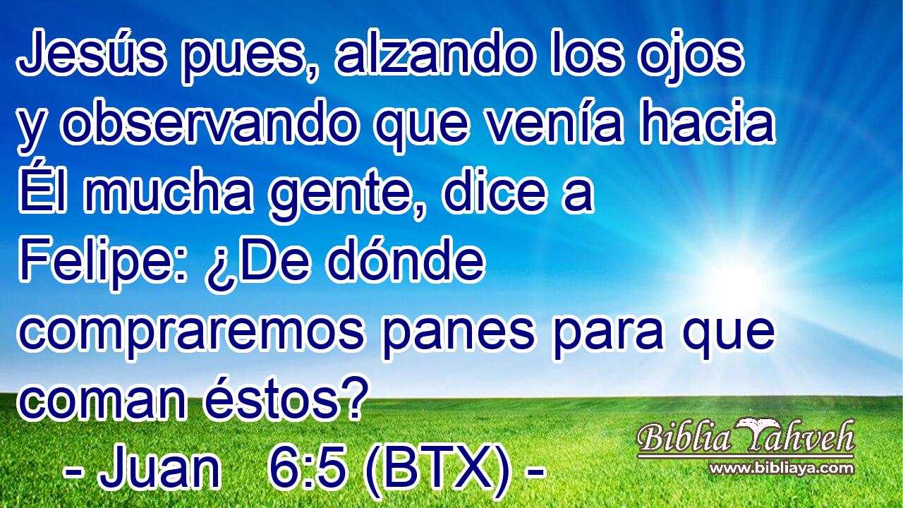 Jesús pues, alzando los ojos y observando que venía hacia Él mucha gente, dice a Felipe: ¿De dónde compraremos panes para que coman éstos?